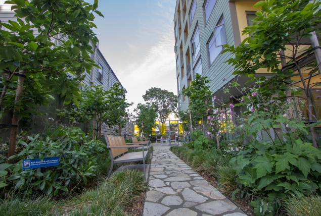 Top Green Features for Affordable Housing